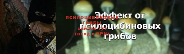 прущая мука Нефтегорск