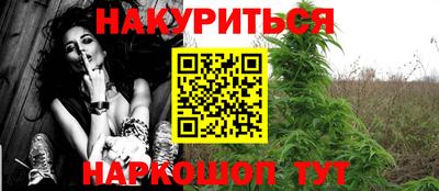 тгк Бийск