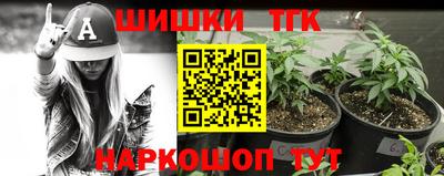 тгк Бийск