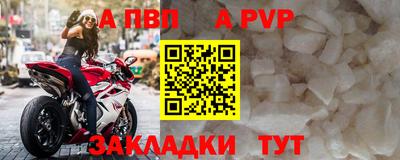 гашик Берёзовский
