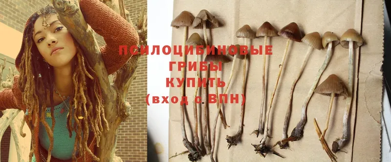 Псилоцибиновые грибы Magic Shrooms  ссылка на мегу   Карпинск 