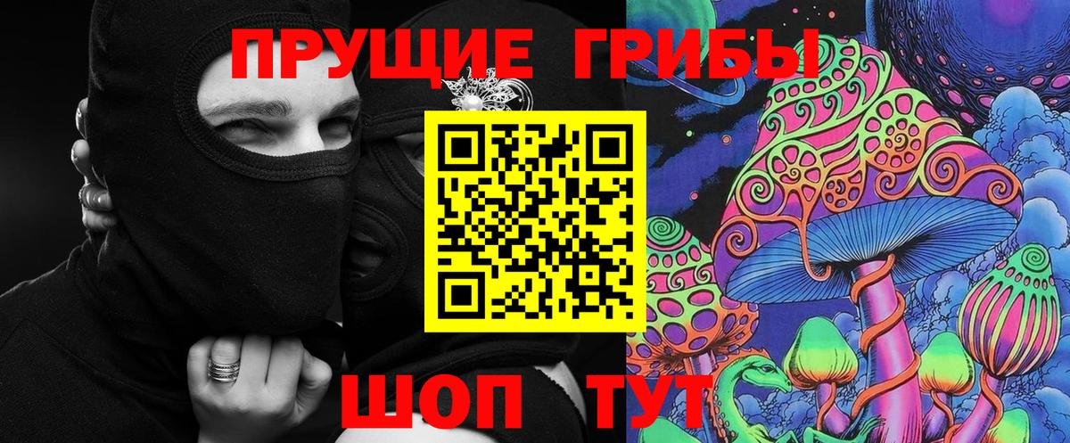 Галлюциногенные грибы Cubensis  Карпинск  Галлюциногенные грибы Psilocybine cubensis 