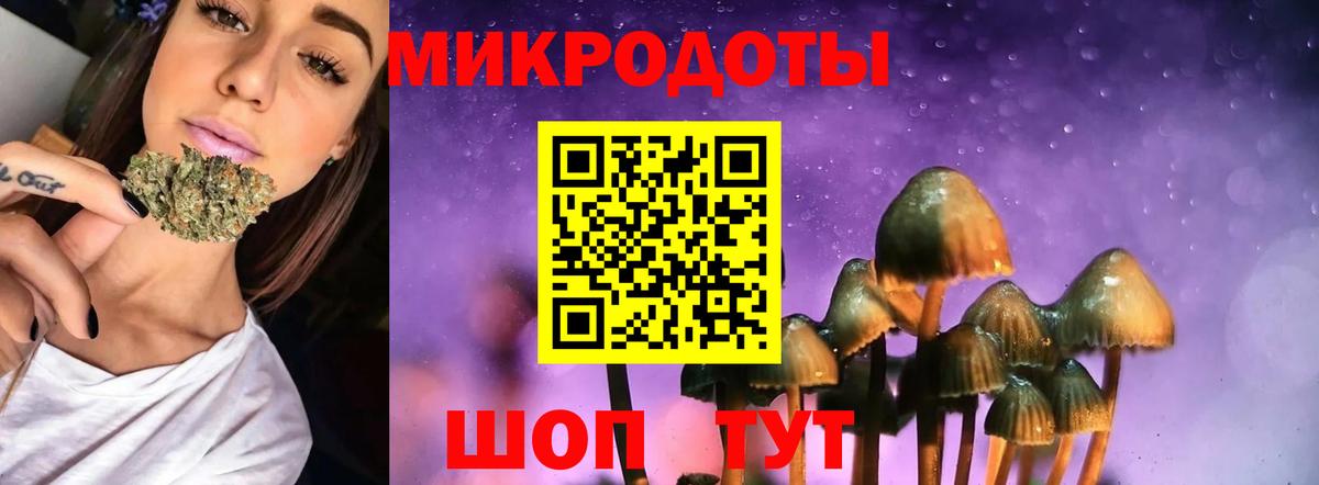 Псилоцибиновые грибы MAGIC MUSHROOMS Карпинск